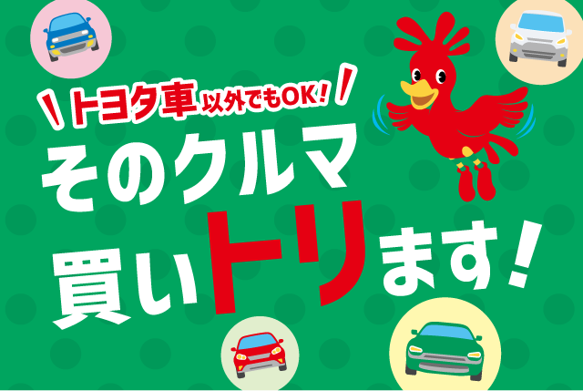 車買取り 車売るなら トヨタのクルマ買取 トヨタカローラ新茨城株式会社 車買取り 車売るなら トヨタのクルマ買取 トヨタカローラ新茨城株式会社