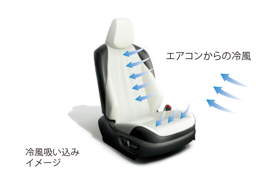 crown_feature_img23