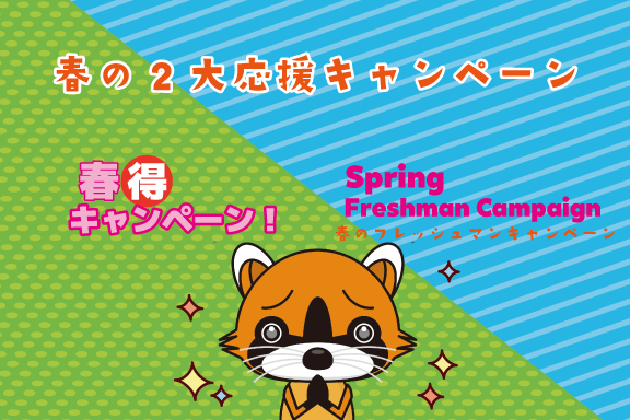 springSP