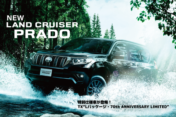 トヨタカローラ新茨城