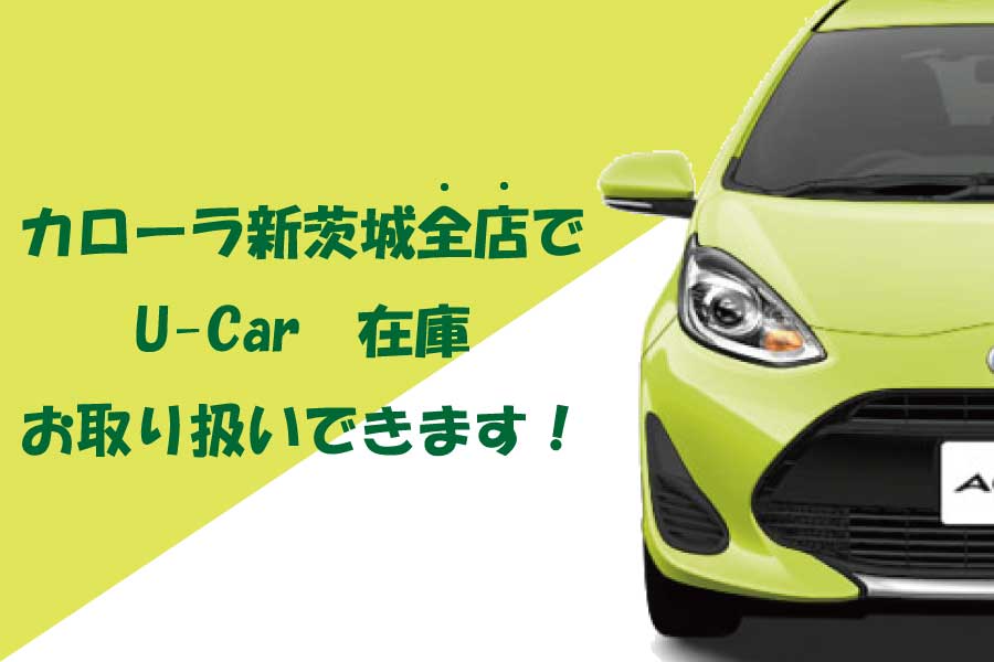 全店取扱い