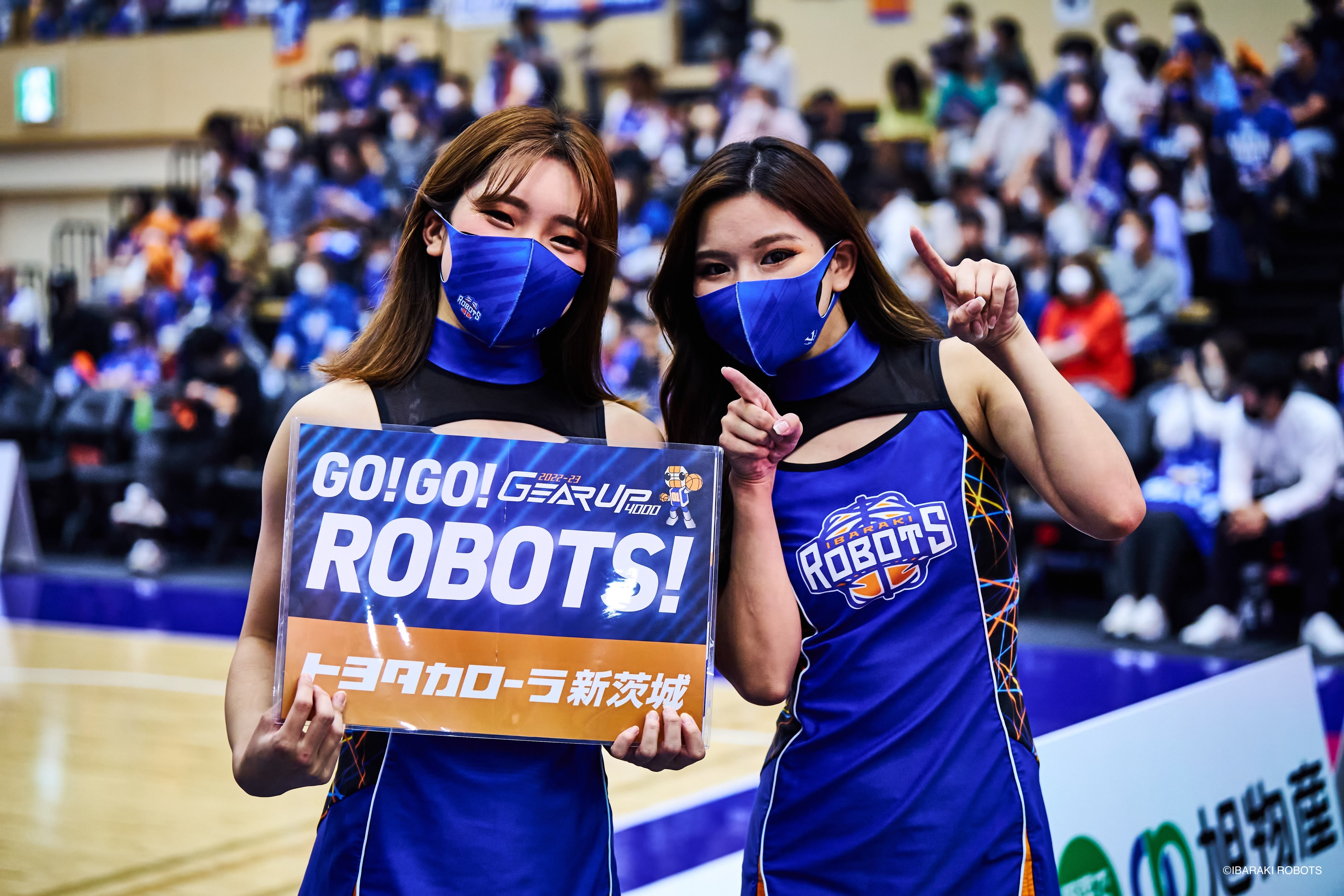 ROBOTS1