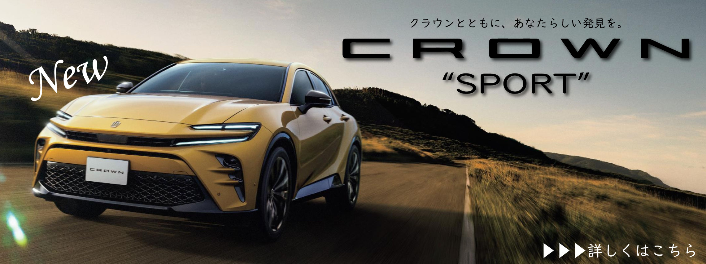 クラウンスポーツ