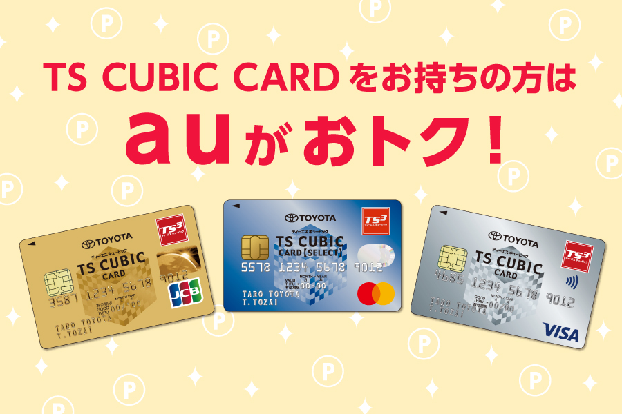 TS CUBIC CARD 