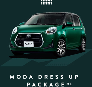 MODA DRESS UP PACKAGE *1.
