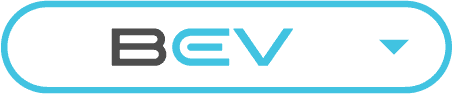 BEVリンク