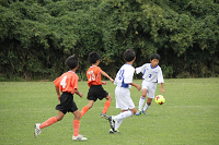 IMG_0947_thumb.png