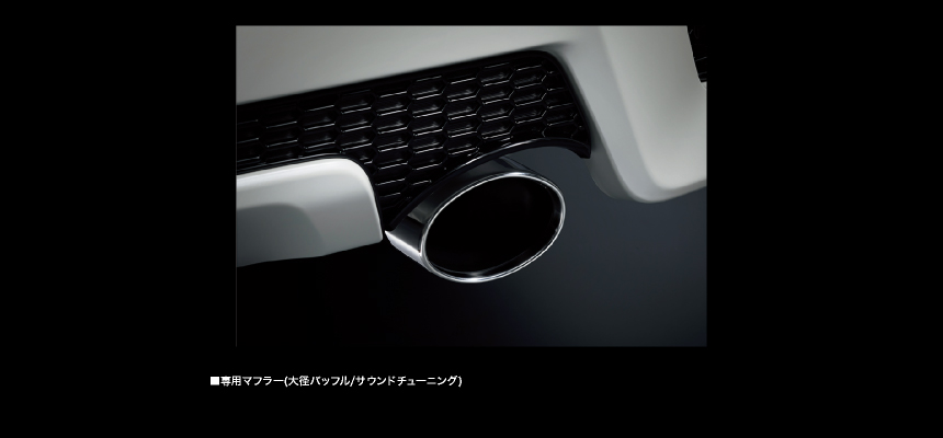 LEDリヤコンビネーションランプ＆ハイマウントストップランプ（スモーククリアレンズ）